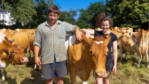 Guernsey Dairy Two young adults standing either side of a cow petting its' neck. The young man is wearing a chequered shirt and navy shorts which are covered in mud. The young lady is wearing a navy t-shirt and shorts with her hair tied up. In the background of the field are cows walking around with trees in the back. 