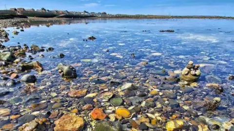 Jane White Pebble stoned in the water of Minnis Bay