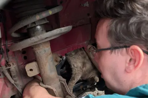 RSPCA Close up of a man in glasses with brown hair looking into an car engine where a cat is stuck