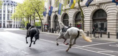 PA Media Horses from the Household Cavalry galloping through central London in April 