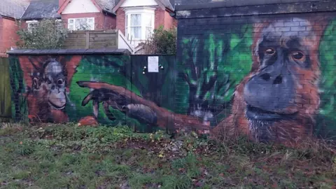 A mural of two orangutans painted on a wall in front of houses. 