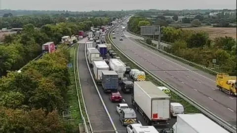 Queueing vehicles on motorway near trees.