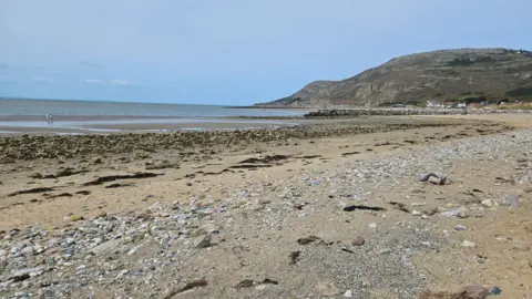 Local Democracy Reporting Service A general view of a beach with sand and stones, and the sea and cliffs behind