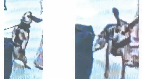 US Homeland Security A dog is seen in two still images taken from surveillance footage. They show a beagle dog standing on his hind legs and another with the dog's ears erect and floating in the air after being kicked.