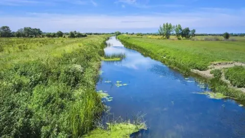 Natural England A stream or ditch with clear water runs through a green field with a few scattered trees in the distance on a sunny clear day.