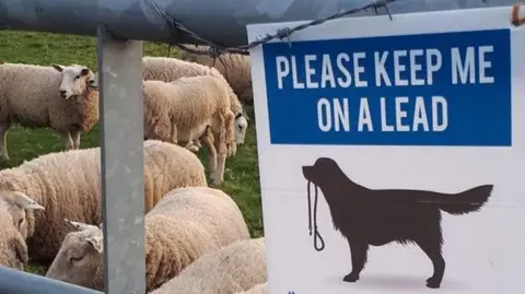 A sign that reads "please keep me on a lead" with a picture of a dog that is coloured in black. The dog had a lead in its mouth. The sign is attached to a metal gate and there are sheep grazing behind it. 