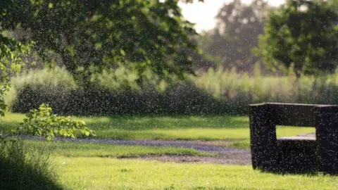 John Dyer Green grass and hedges encompassed by thousands of little dots, which are midges.