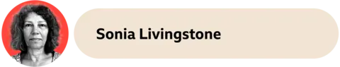 An representation  of Sonia Livingstone successful  a reddish  ellipse  to the left. The look   is adjacent  to a beige container  that reads "Sonia Livingstone" 
