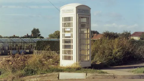 A cream mid-20th Century telephone box with glass sides and domed roof stands on the edge of allotments under a blue sky. Rows of green houses and shrubs can be seen. The tiled roofs of red-brick houses can been seen in the distance.