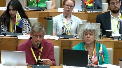 Norfolk County Council/YouTube A screenshot from a YouTube stream showing councillors sitting inside the chamber with Pride Progress flags attached to microphones.