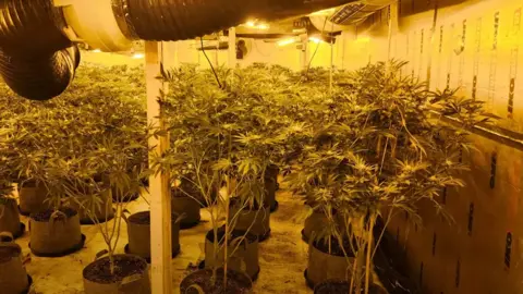 South Yorkshire Police Cannabis farm found in Doncaster 