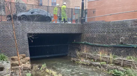 There is a section of flowing river with reeds along the banks as it flows towards a bridge with a black iron gate