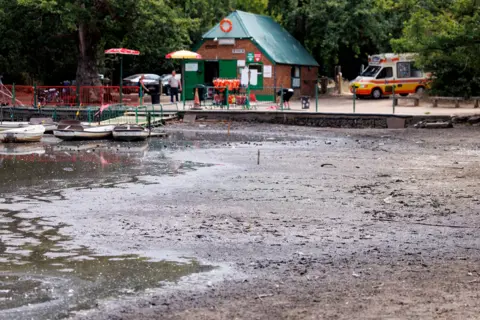 EPA Rental rowing boats float beside a dried-up section of Hollow Pond in east London, Britain, 22 July 2026.