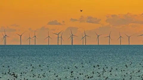 A wind farm out at sea during a sunset. 