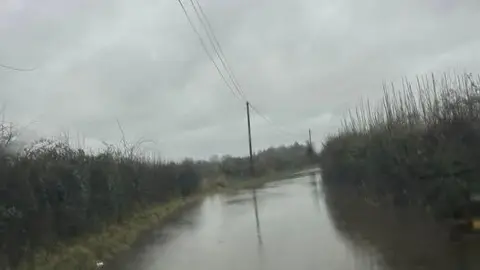 Cheryl Small A flooded country road is flanked by hedgerows.