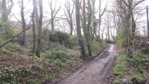 A path winding through the woodland at Lower Banns