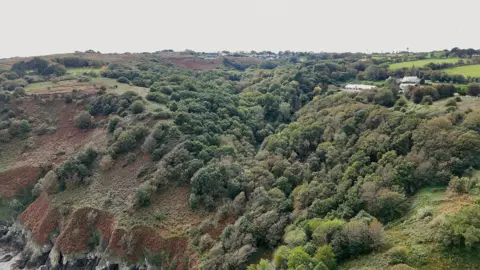 BBC An image taken from a drone showing a woodland with cliff faces. There are two buildings in the background.