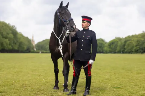 British Army Soldier and horse in a field