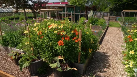 Flower beds with orange and yellow flowers and mulched pathways