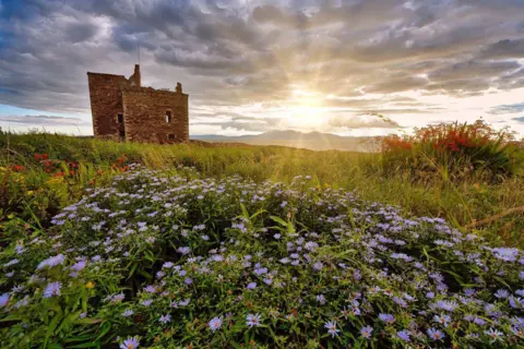 Paul Cook Remains of small castle, with lilac flowers in foreground and sun setting in distance.
