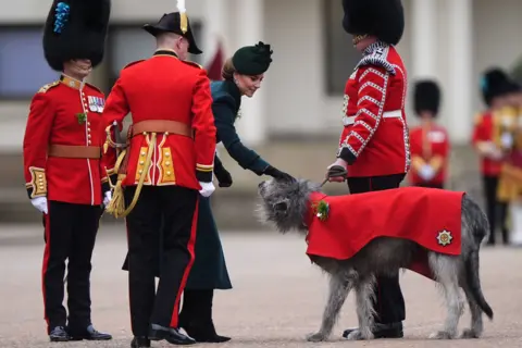 PA Media Princess of Wales the Irish wolfhound regimental mascot on the head. The dog is wearing a red cape with a shamrock pinned on.