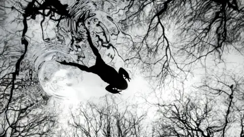 A black and white image of a toad, shot from below, swimming across a pond. The bare branches of trees can also be seen in the water's reflection.