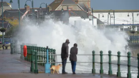PA Media A picture of a couple with their dog while waves crash against the rocks. The image is taken in Penzance.