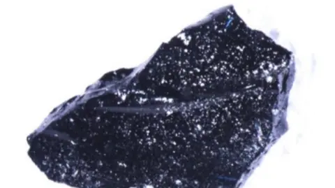 Guido Giordano A picture of a fragment of the glass brain. It's a jagged, irregular-shaped chunk of bluish-black glass with little white specks, in this picture set against a white background.