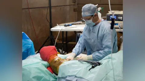 Knowsley Safari Surgeon in blue in mask and gown operating on rhino's leg