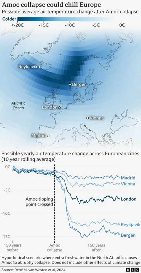 Except for other influences of climate change, the map indicating the potential effects of an AMOC collapse at European temperature. Britain and North-West Europe are shaded into the dark blues, showing the greatest cooling. There is a graph under the map that shows a possible annual air temperature change in European cities after crossing an AMOC tipping point. Within about 50 years, Madrid and Vienna 2–4C cool, London about 7C to cool, and Racksavic and Bergon Cool by 12–14C. 