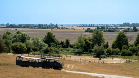 Port Lympne Reserve A truck droves across a grassy landscape