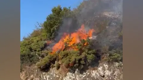 A fire on open scrubland.