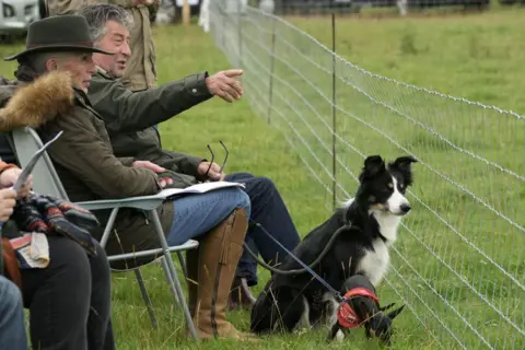 Getty Images A in a fold-up chair behind a mesh fence points towards a field with a sheepdog at his feet.