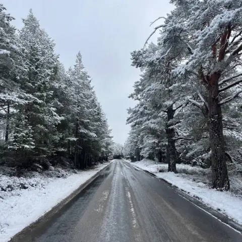 SAIS Northern Cairngorms A straight road through snow-covered pine trees.