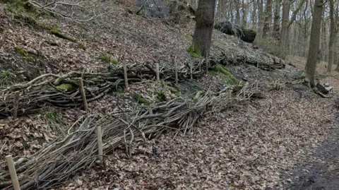 Bunches of branches forming small fences across a sloping hill