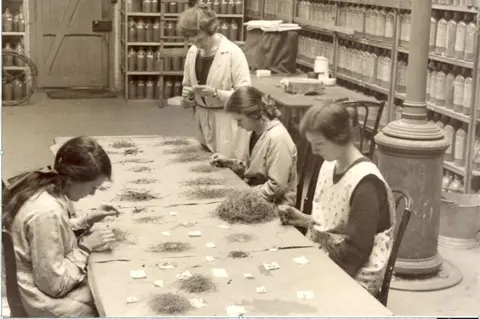 Rothamsted Research Historic 1930s black-and-white photograph showing four people sorting grass samples at a table, with shelves of labelled sample bottles behind them.
