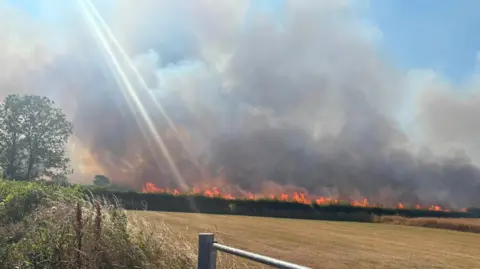 Beckie Julian Nussey View from a field gate showing a line of flames visible over a hedge