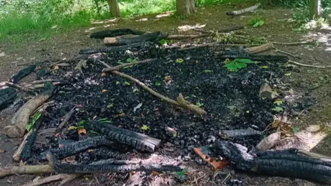 A picture of scorched ground surrounded by tree branches