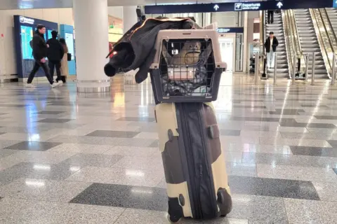 Cleethorpes Wildlife Rescue Boh the ferret in his cage which is resting on top of a brown and cream suitcase in an airport. There are escalators in the background of the photo. 