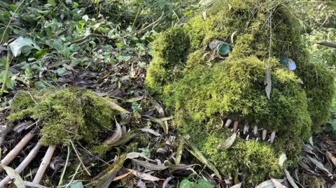 BBC A sculpture of a mythical creature made from of moss, stone, leaves and earth