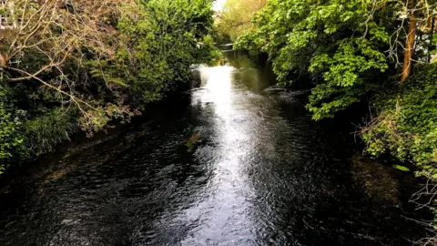 Getty Images Flowing water from the Hogsmill River