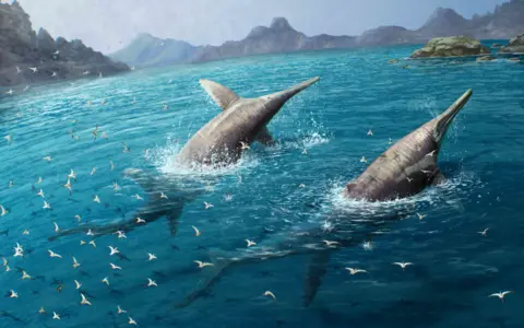 PA Media An illustration of two dolphin-like reptiles frolicking close to a coastline. Flying bird-like pterosaurs follow closely behind, showing the sheer scale of the pair