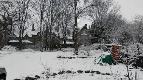 Shone/BBC Weather Watchers Snow covers a garden and branches on trees. Snow also lies on the roofs of houses.