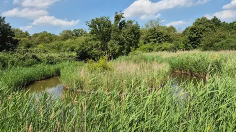 Stuart Woodward/BBC A large meadow with a body of water wrapped around a small island
