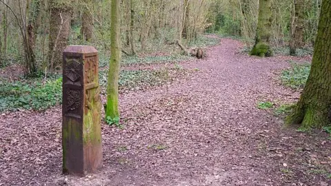 Rose and Trev Clough Woodland with a leaf-strewn path running through it and a wooden post with images carved into it including a cobweb and a branch with berries