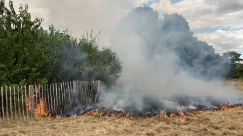 Flames can be seen behind a wooden gate that surrounds a densely packed group of trees. Dried out grass on the other side of the gate is also on fire, with smoke rising from it. 