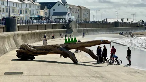 Steve West Photograph of Lizzy the Lizard actually a piece of driftwood, washed up on a beach in Porthcawl. The driftwood has white goggly eyes attached to the side of it, a red tongue, and green spikes can also be seen on its back. 
