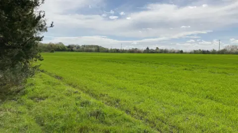 Andy Trigg/BBC Arable land in Haddiscoe