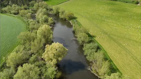 A drone shot of a river with green trees and fields on either side