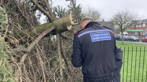Stuart Whincup/ BBC A police officer with Crime Scene Investigator written on his black jacket stands with is back towards the camera. He is making notes at the scene. In front of him is a branch of the tree on its side.